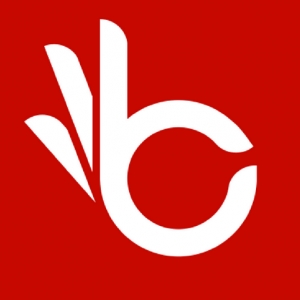 Logo startup BZIIIT