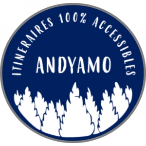 Logo startup Andyamo