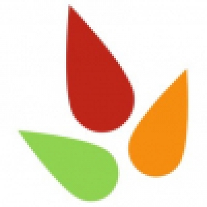 Logo profil startup