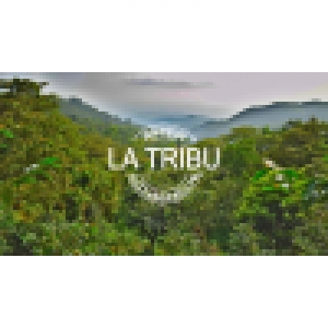 Logo startup La Tribu