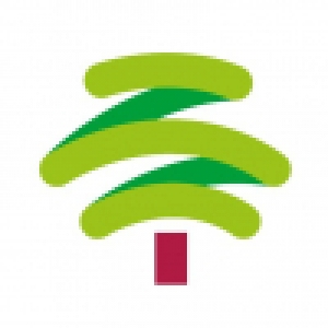 Logo startup KING TREE