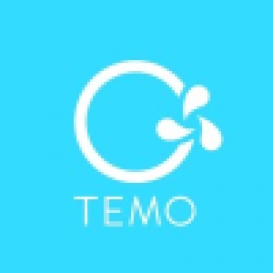 Logo startup TEMO