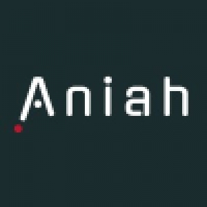Logo startup Aniah