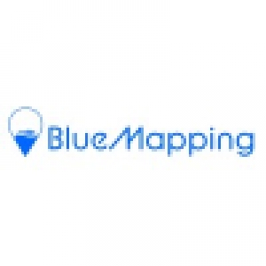 Logo startup Bluemapping