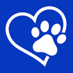 Logo startup TELEVET