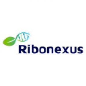 Logo startup Ribonexus