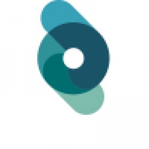 Logo startup Dianosic