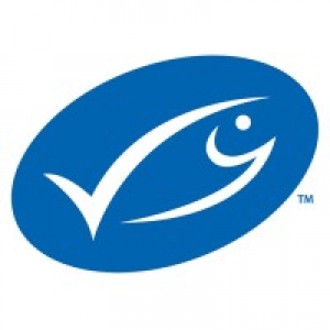Logo startup Msc