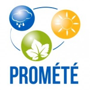 Logo startup Promete