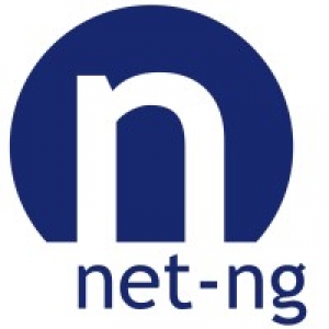 Logo startup Net-ng