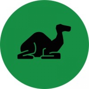 Logo startup DROMY
