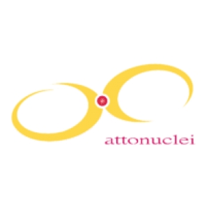 Logo startup Attonuclei