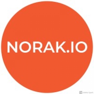 Logo startup NORAK