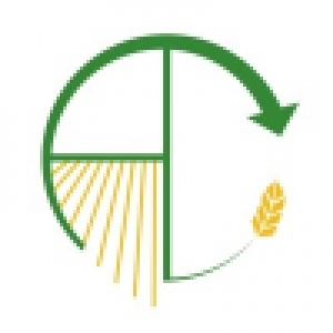 Logo profil startup