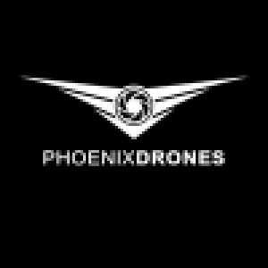 Logo startup Phoenix Drones