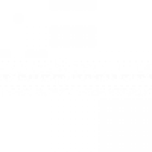 Logo startup Salestratus