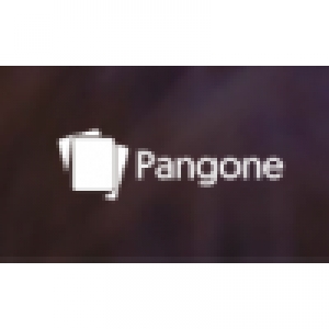 Logo startup Pangone
