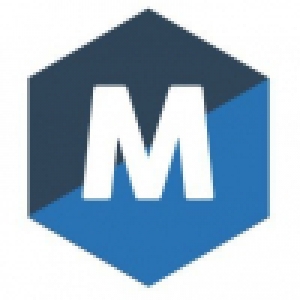 Logo startup Meshwork