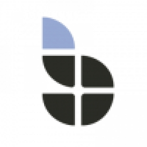 Logo startup bitVille