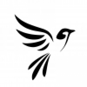 Logo startup Starling Partners